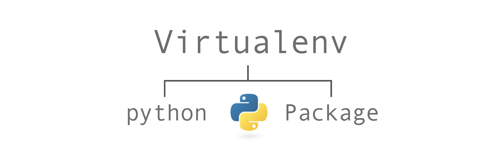 Virtual Environment and Python package manager