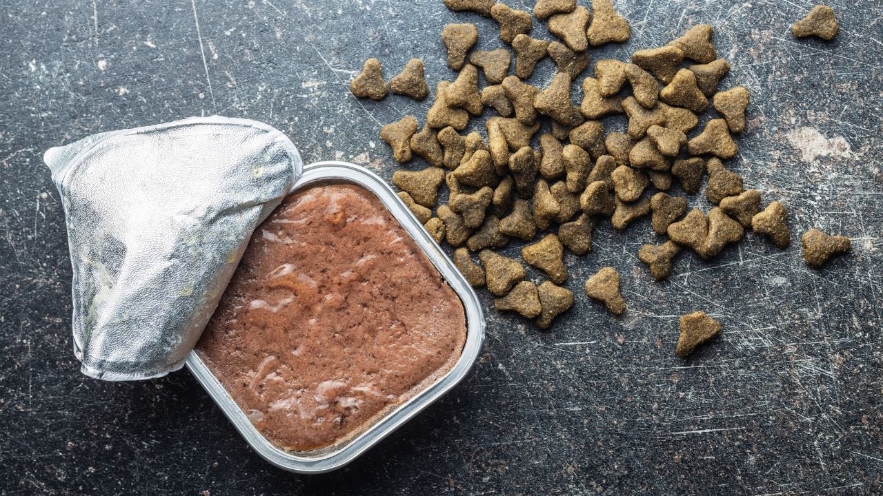 Köpek Maması