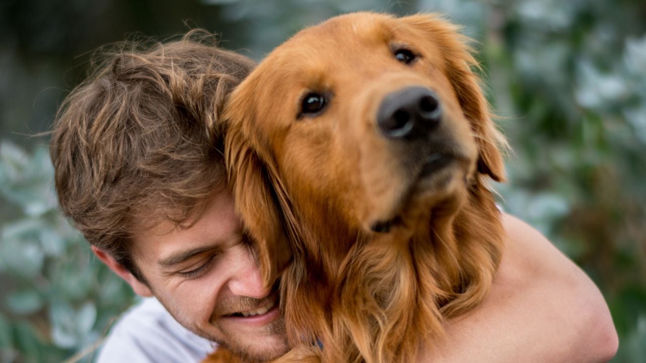 köpeğe sarılan bir adam