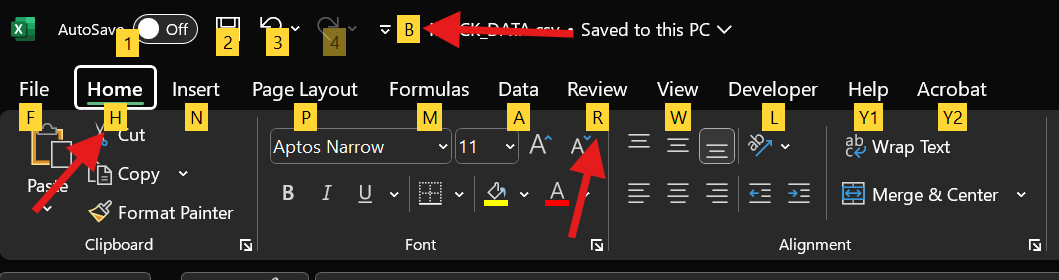 alt shortcuts in Excel