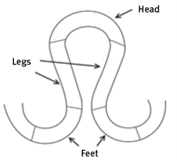 fig 1: loop diagram