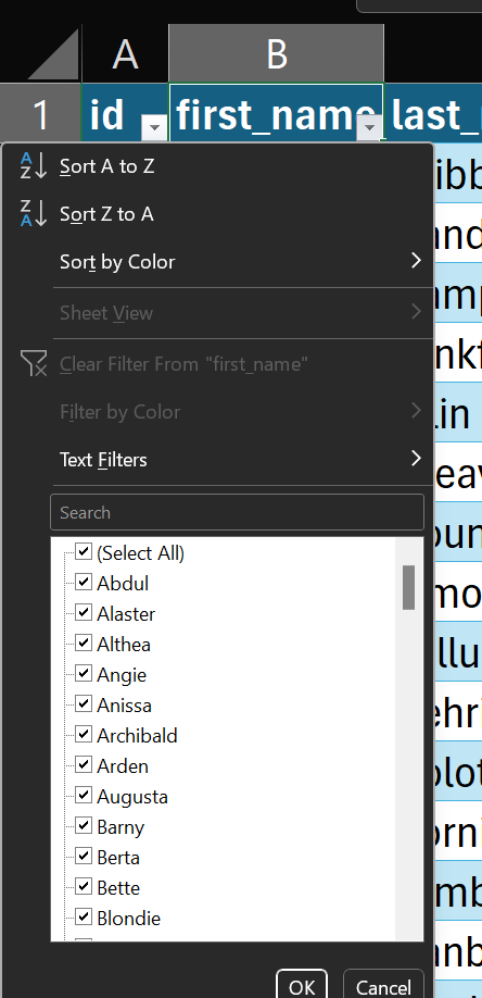 auto-filter menu