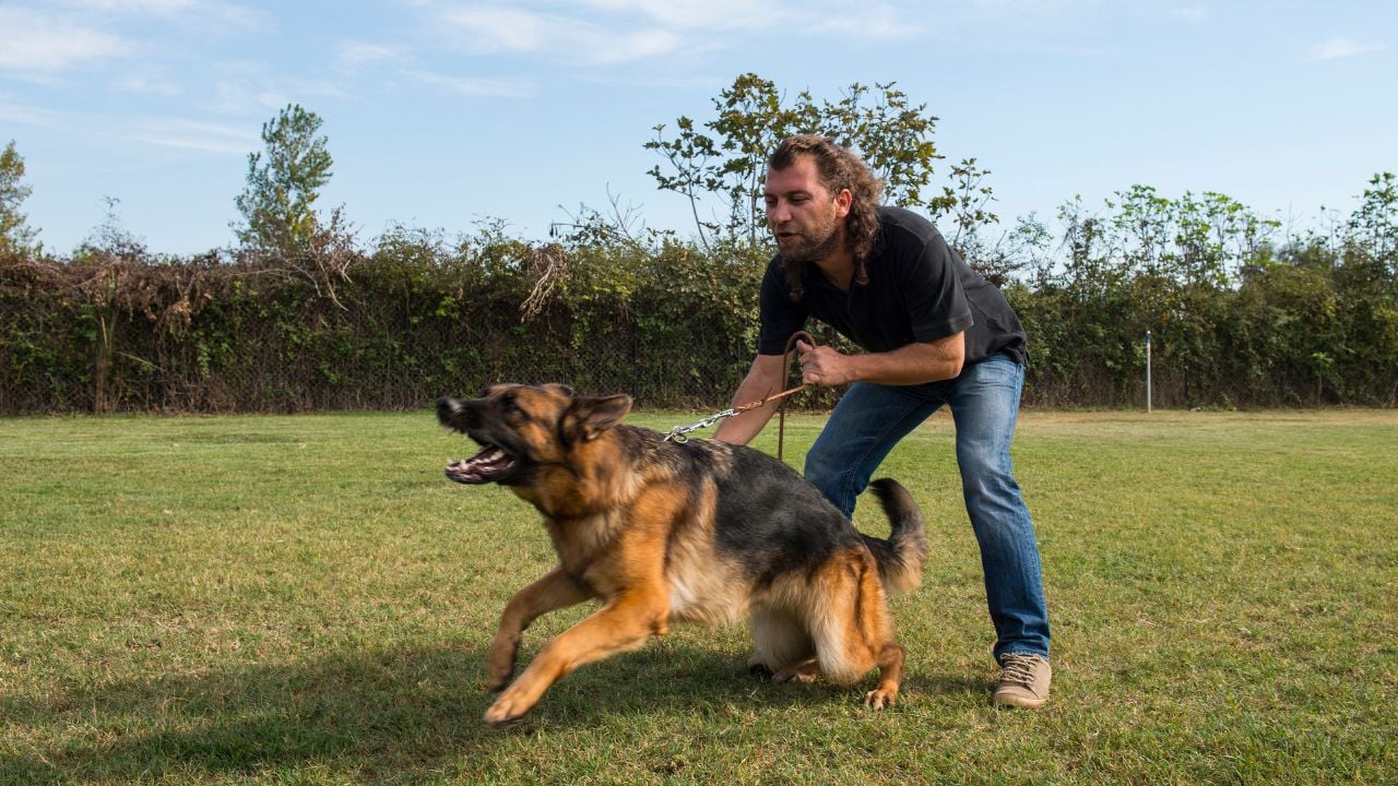 adam köpeğini tutuyor