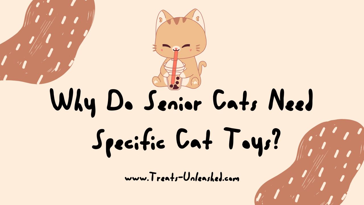 Why Do Senior Cats Need Specific Cat Toys?