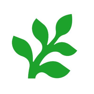 Fern logo