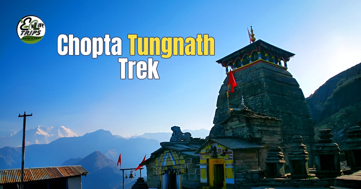 Explore the Beauty of Chopta Tungnath on a Weekend Trip with EnLive Trip