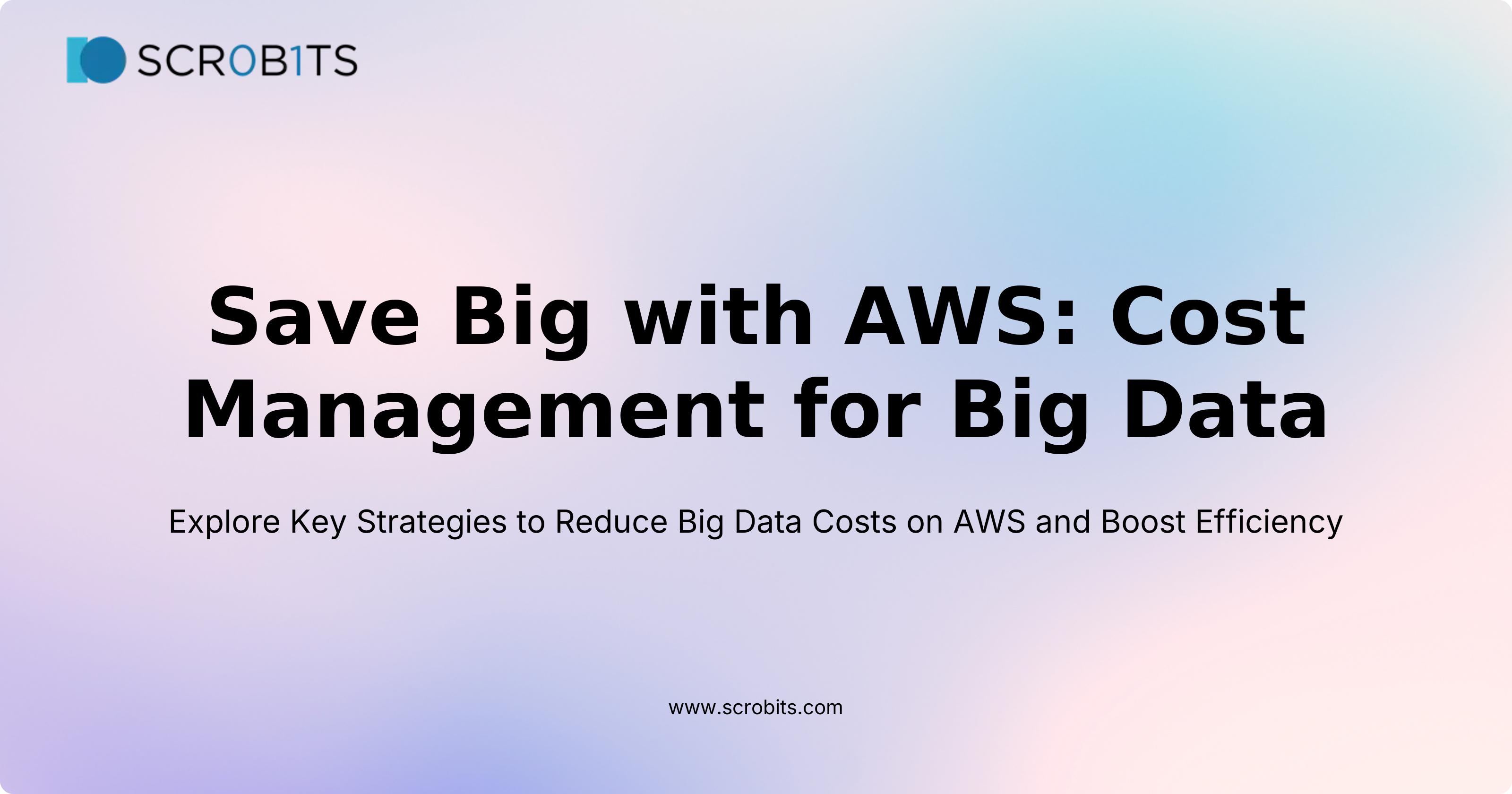 Save Big with AWS: Cost Management for Big Data