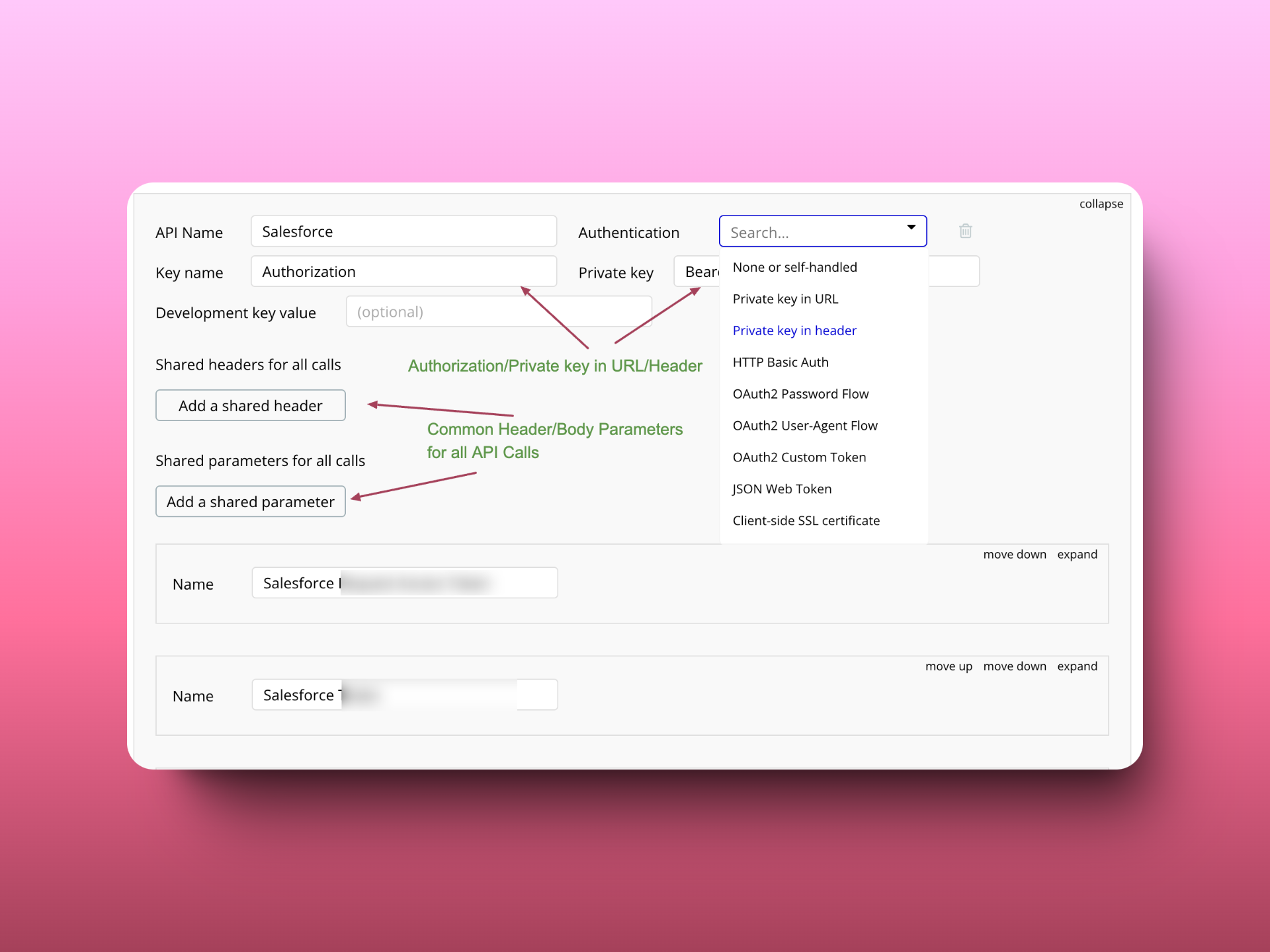 A screenshot of an API configuration interface with a pink background. It includes fields for API name, key name, authentication options, and buttons for adding shared headers and parameters. A dropdown menu for authentication methods is visible.