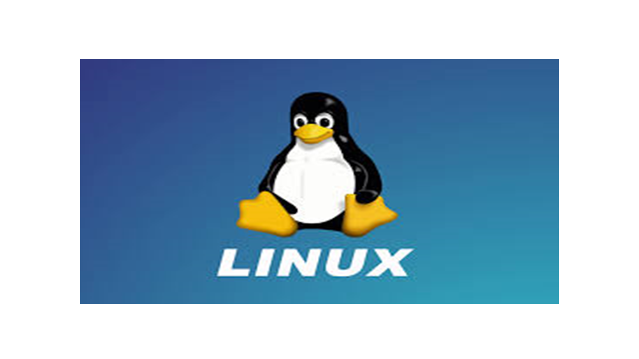 Basic Linux Commands: A Quick Guide for Beginners