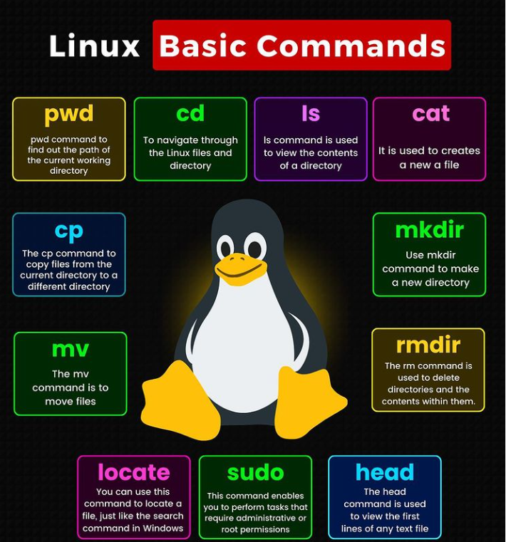 Day-3Essential commands in Linux 🧑‍💻🐧