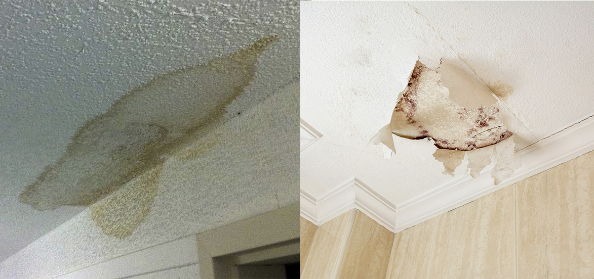 5 Simple Steps To Dealing With Water Damage In A Residential Situation