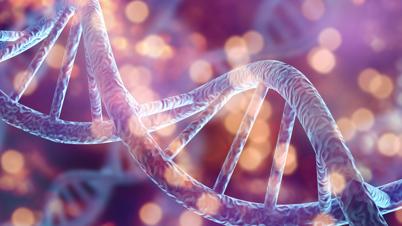 dna