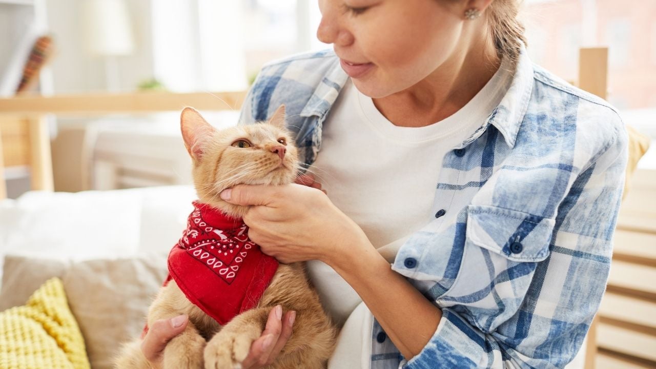 kucağında kedi seven bir kadın