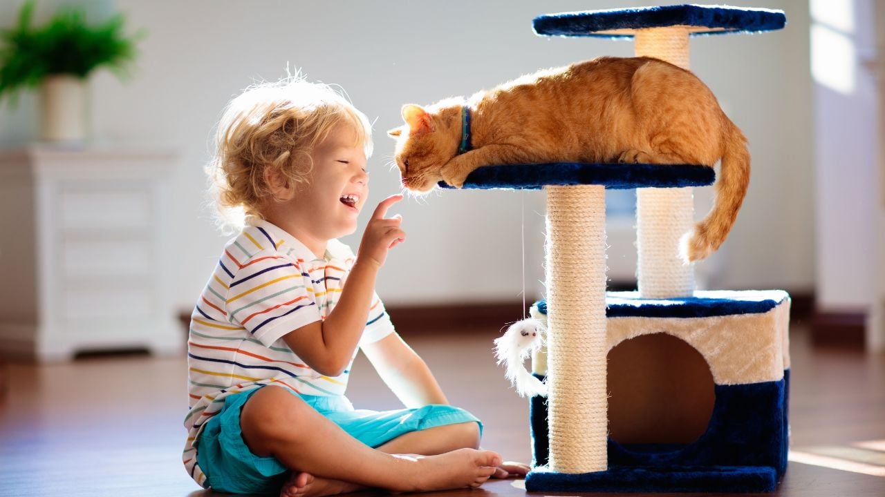 çocuk ve kedi