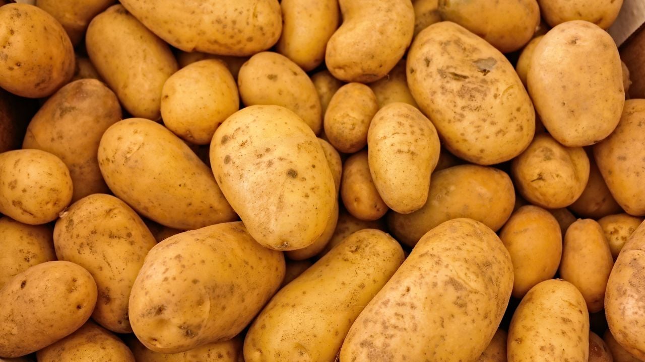 Patates