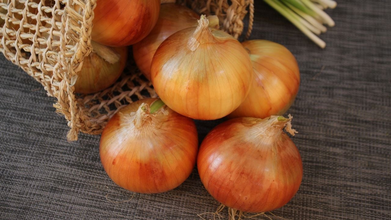 soğanlar