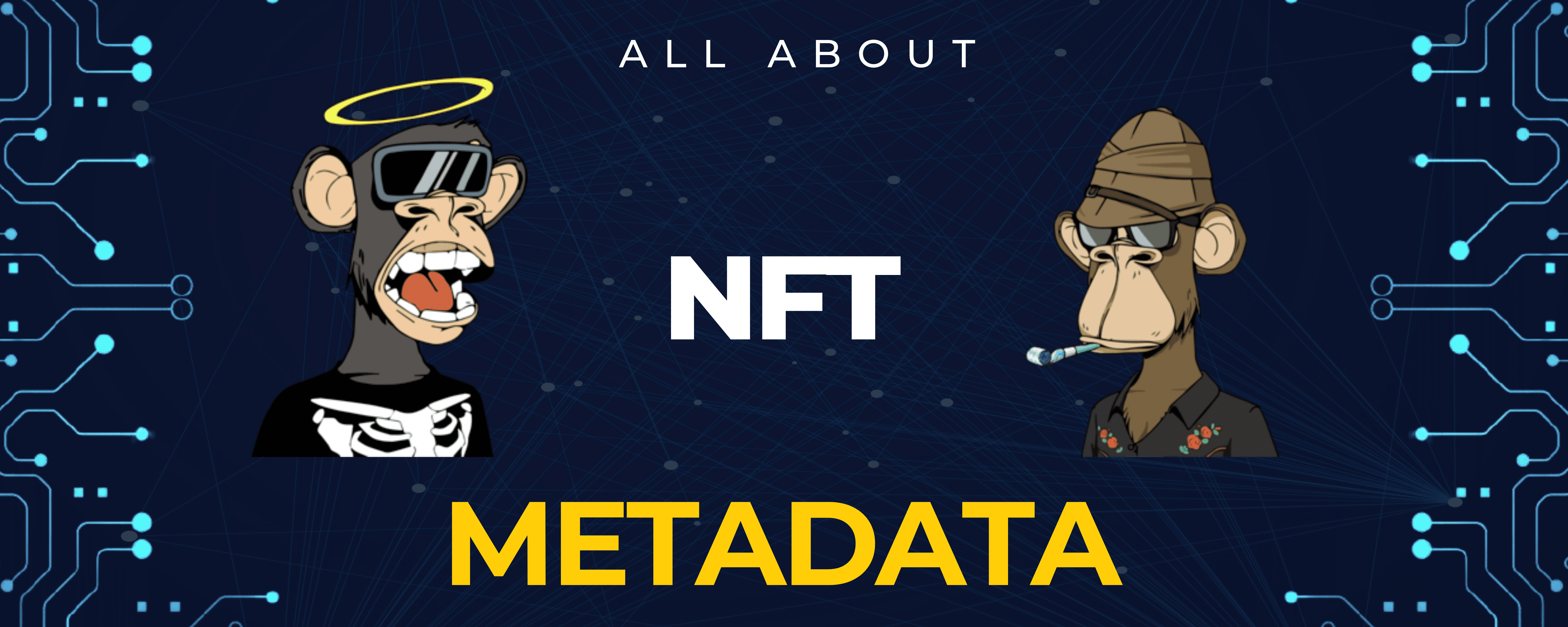 All you Need to know About NFT Metadata