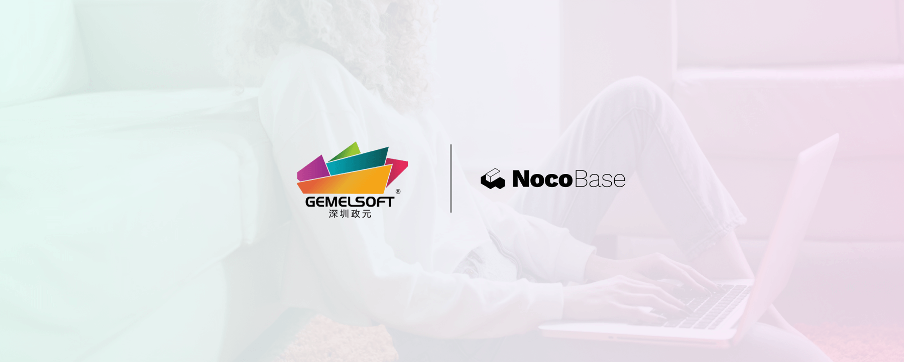 GemelSoft Enhances Internal Systems and Expands External Business Through NocoBase Integration