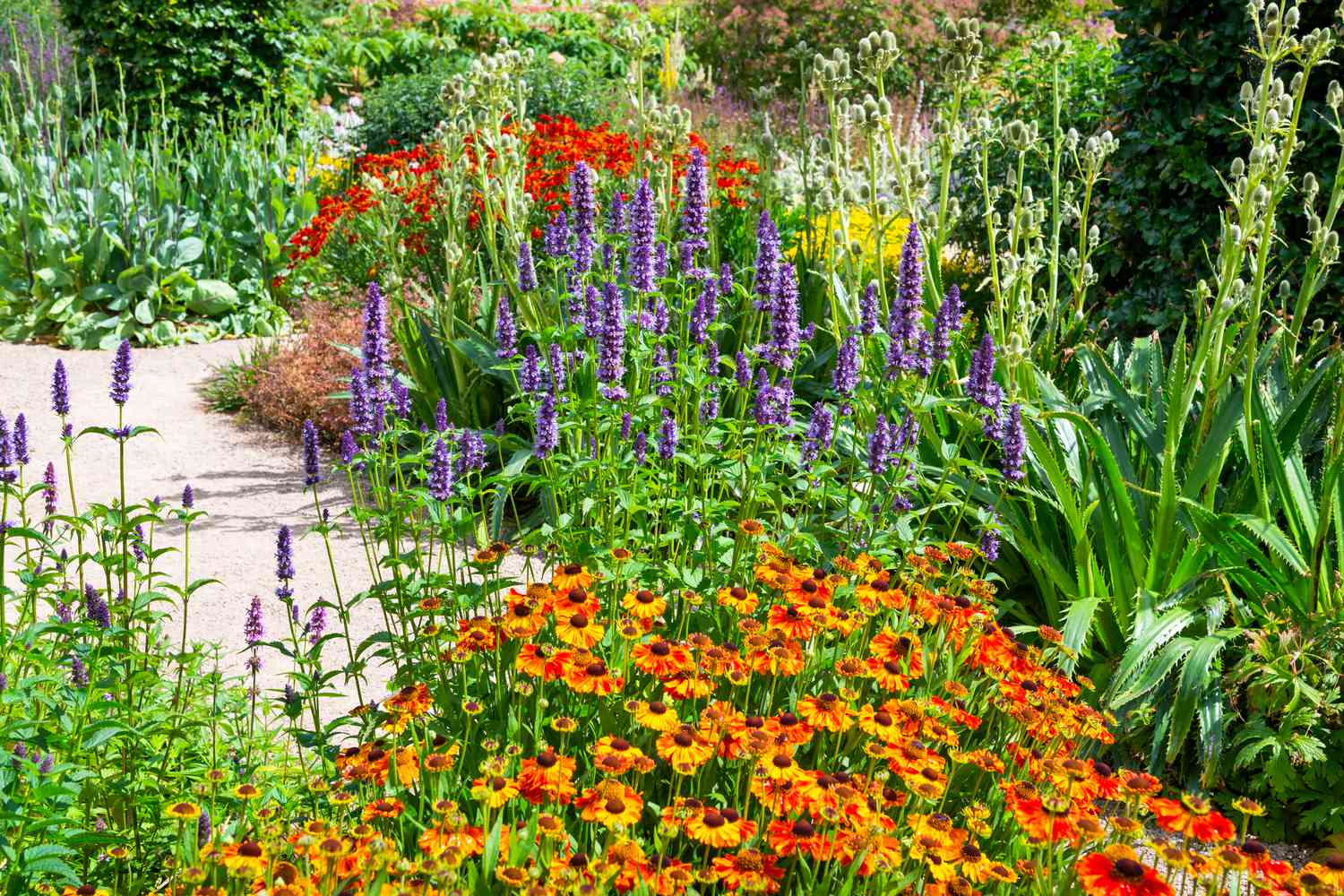 Top 8 Best Flowers for Vegetable Gardens & Their Benefits