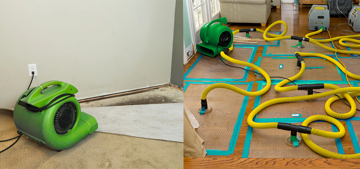 What to expect from water removal service by professional