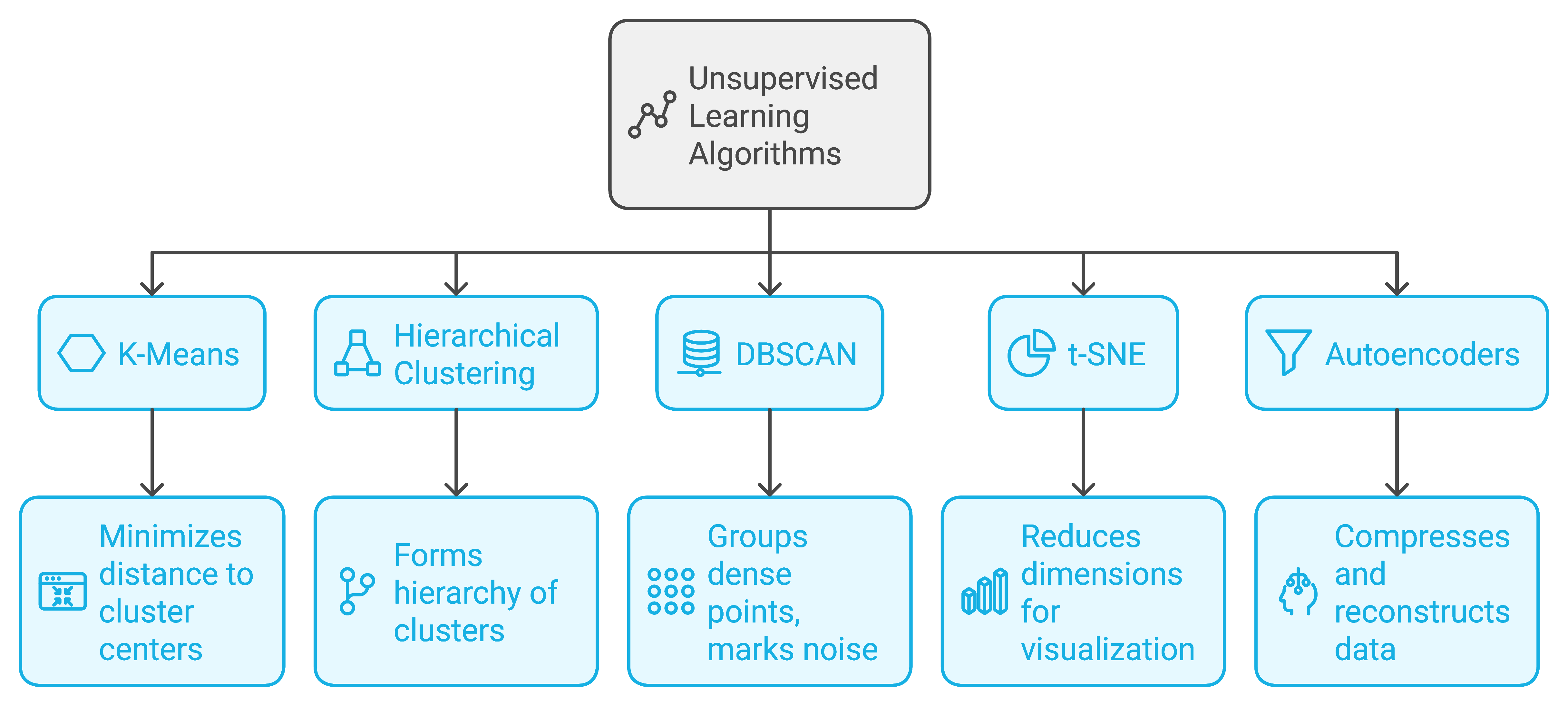 Flowchart of unsupervised learning algorithms. Includes K-Means, Hierarchical Clustering, DBSCAN, t-SNE, and Autoencoders, each with a short description of their functions.