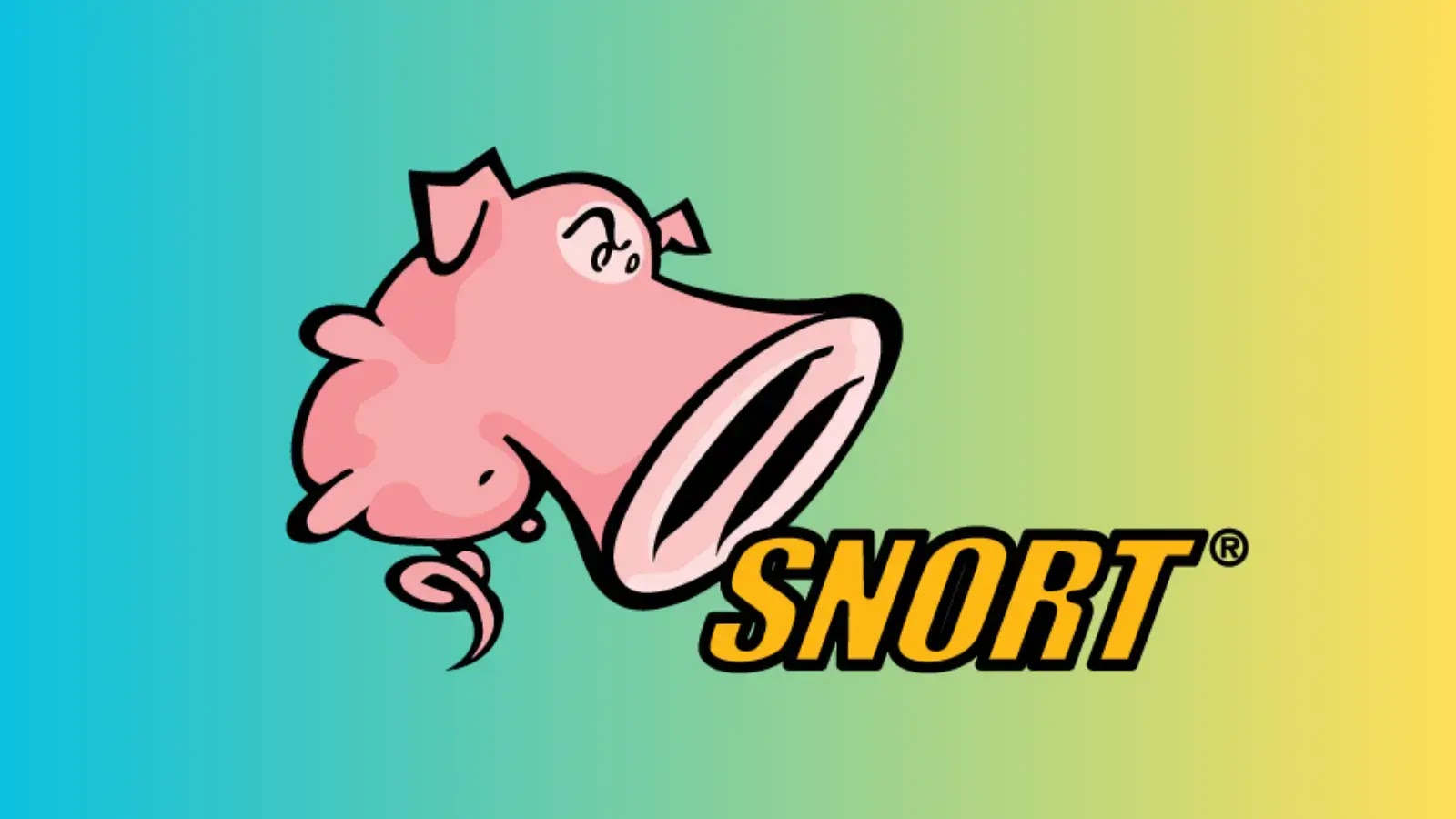 🐽 Snort IDS 🐽