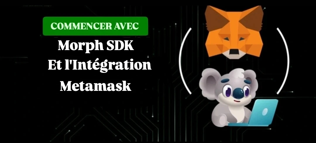 Commencer avec Morph SDK et l'Intégration Metamask