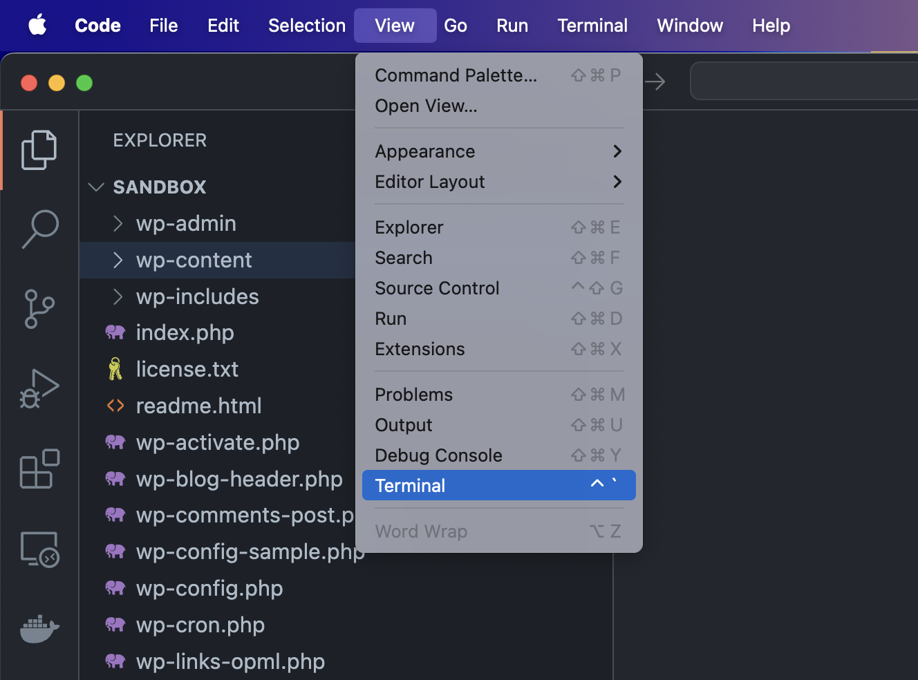 Open Terminal with View > Terminal