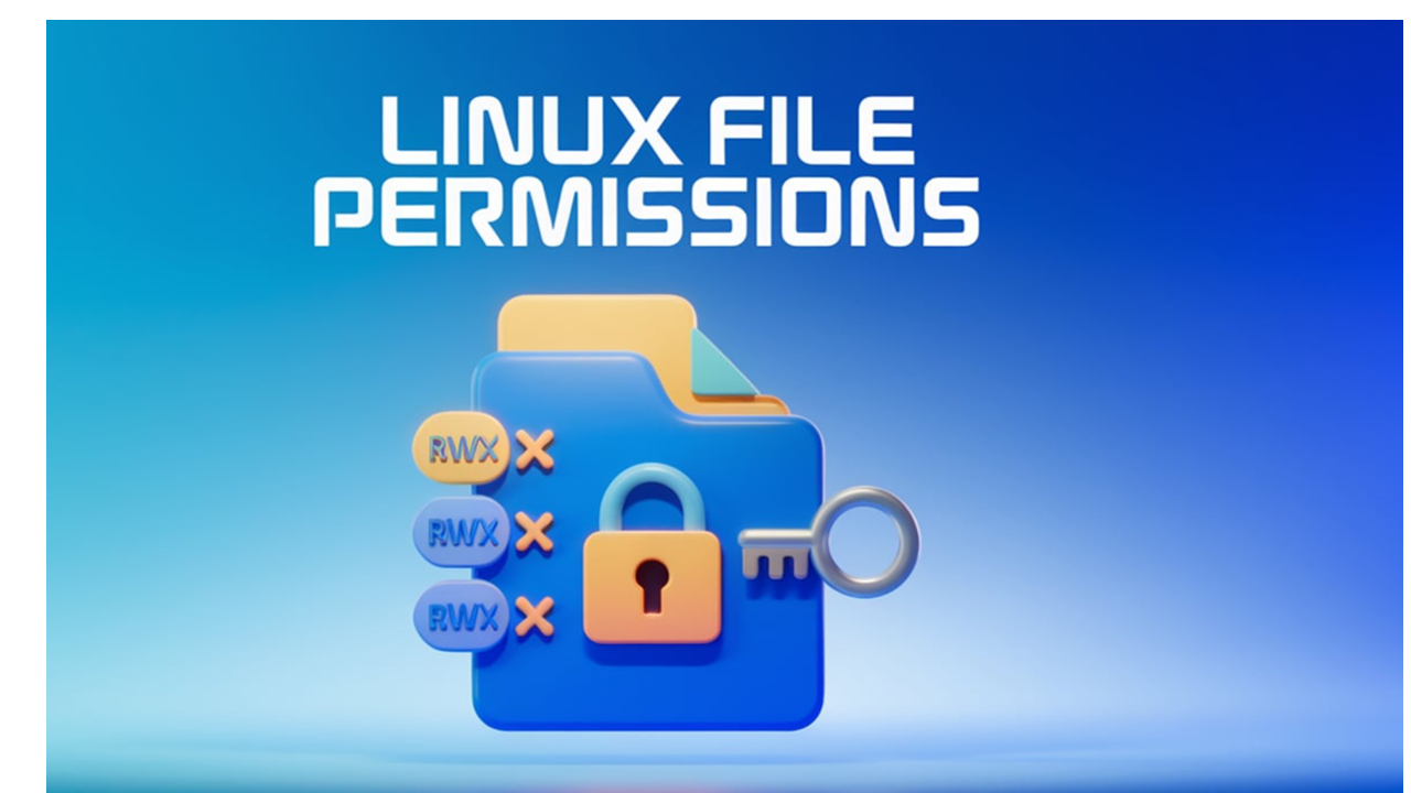 Unlocking Linux File Permissions: Manage Access for Owners, Groups, and Others