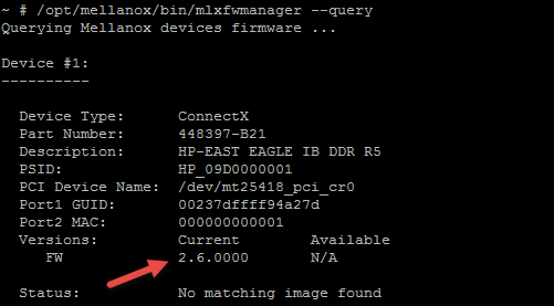 ESXi01 Firmware Version