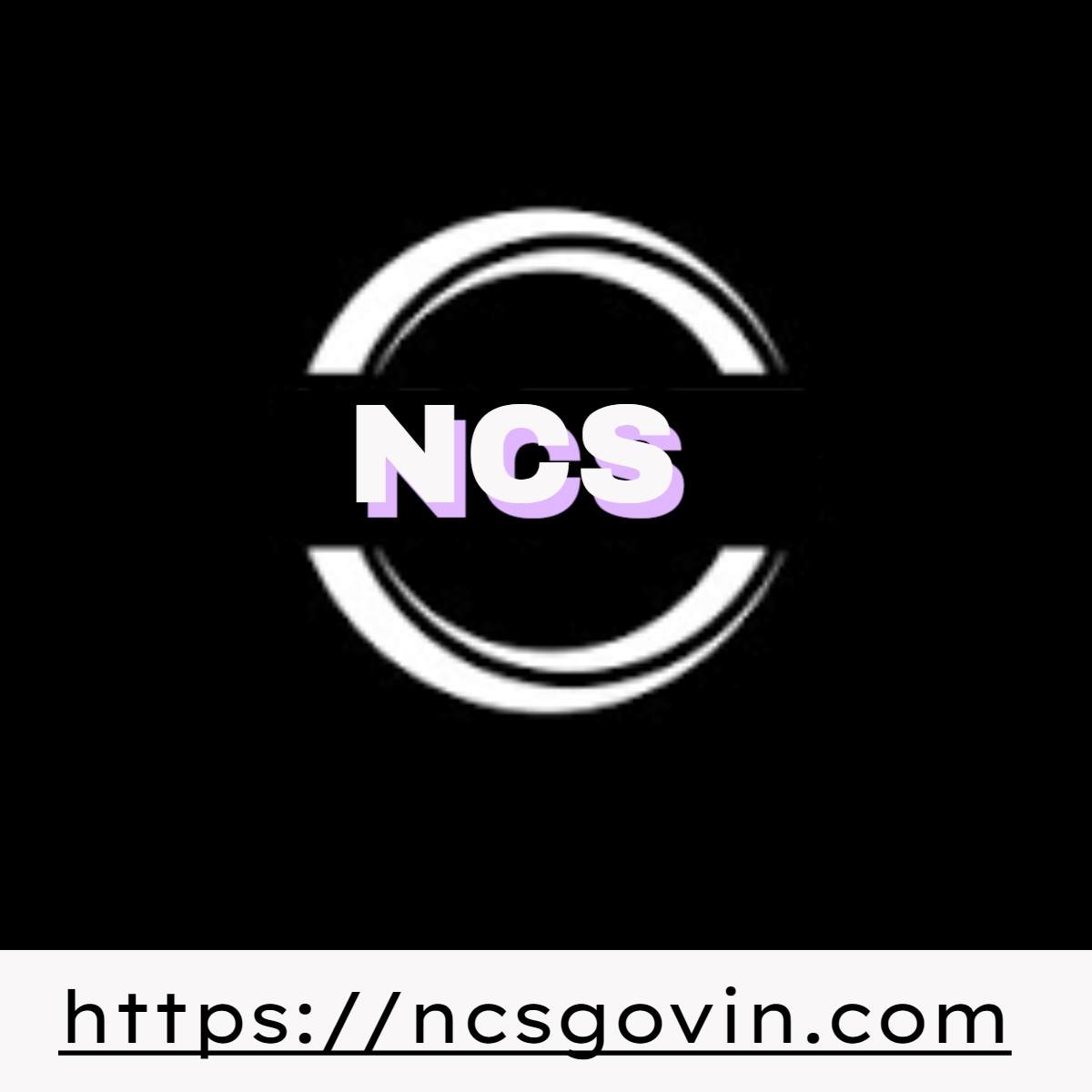 National Credit System (NCS): Empowering Financial Growth and Stability