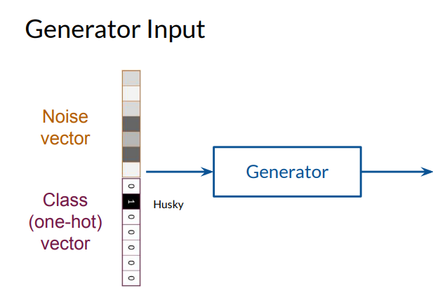 Exploring Unconditional, Conditional, and Controllable Generation