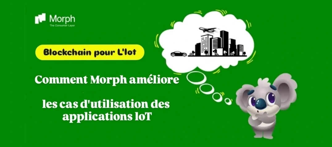 Blockchain pour l'IoT : Comment Morph améliore les cas d'utilisation des applications IoT