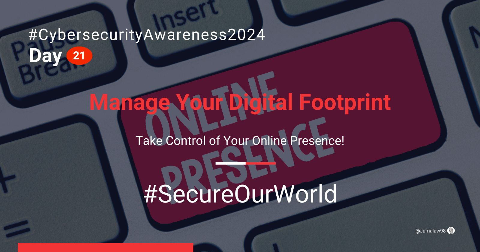 Day 21: Manage Your Digital Footprint