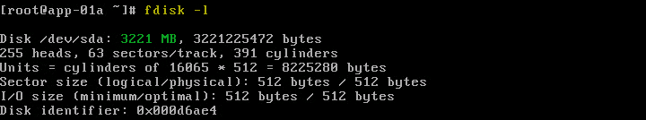 Figure-8 Confirmation of increase in disk size