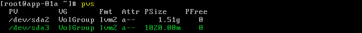 Figure-12 Confirming physical volume creation