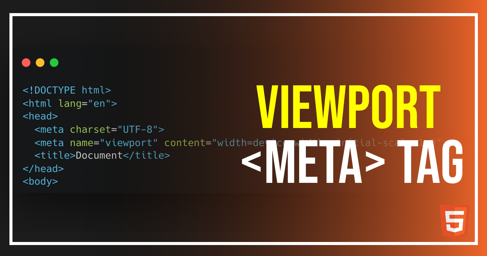 Viewport Meta Tag: What It Is and Why You Should Care