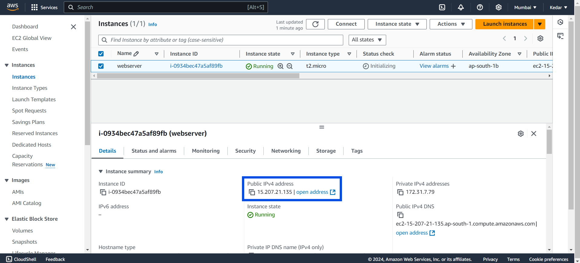 EC2 Instance Public IP Address