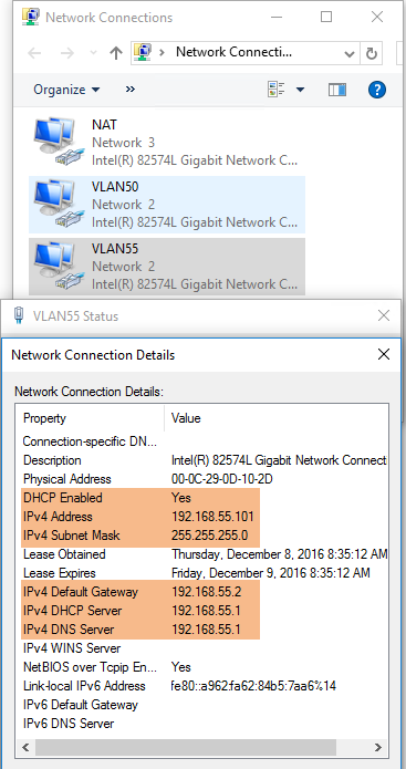 Screenshot of a network connections window showing three connections: NAT, VLAN50, and VLAN55. A detailed view of the network connection details for VLAN55 is displayed, including IP address, subnet mask, DHCP status, and lease information.