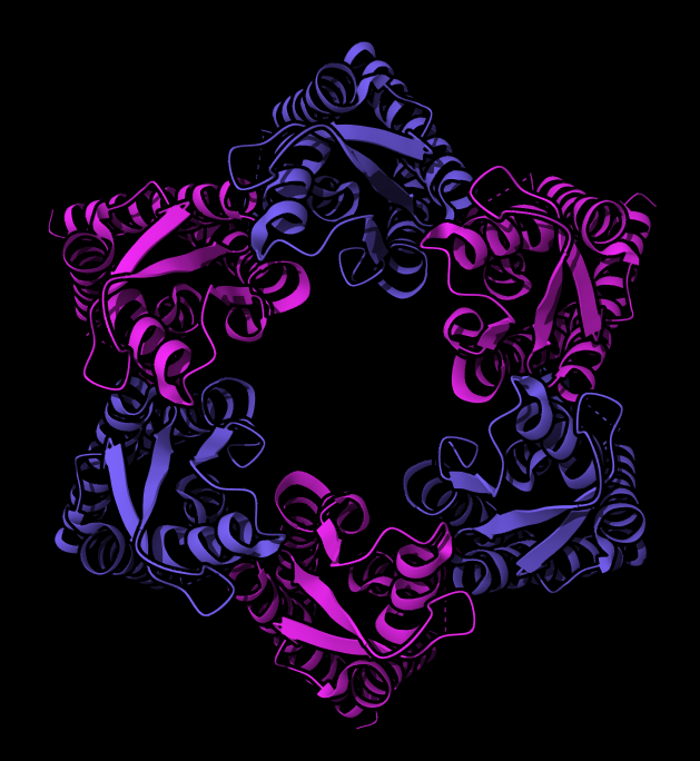 A complex 3D molecular structure forming a multicolored star shape with intertwining ribbons in shades of purple and blue against a black background.