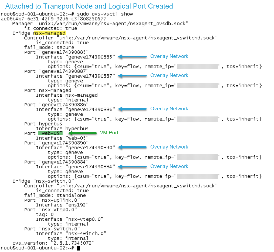 Screenshot of terminal output showing details of network ports and connections, with annotations marking "Overlay Network" and "VM Port" in a VMware NSX environment.