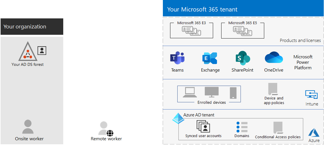 Introducing M365 Tenant, Admin Center and User Creation