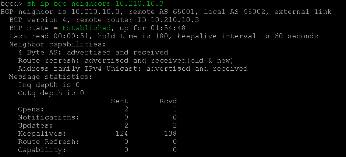 A terminal screen displaying BGP neighbor information. The neighbor at IP address 10.210.10.3 is established, with message statistics showing keepalives sent and received. Various neighbor capabilities and session details are listed.