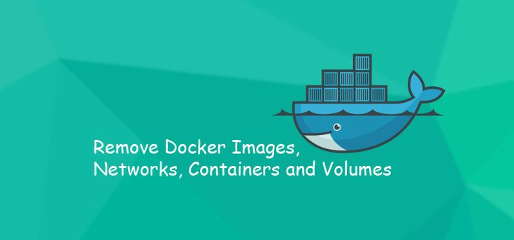 "Mastering Docker Volumes & Networks: Building Multi-Container Apps with Ease! 🚀🐳📦"