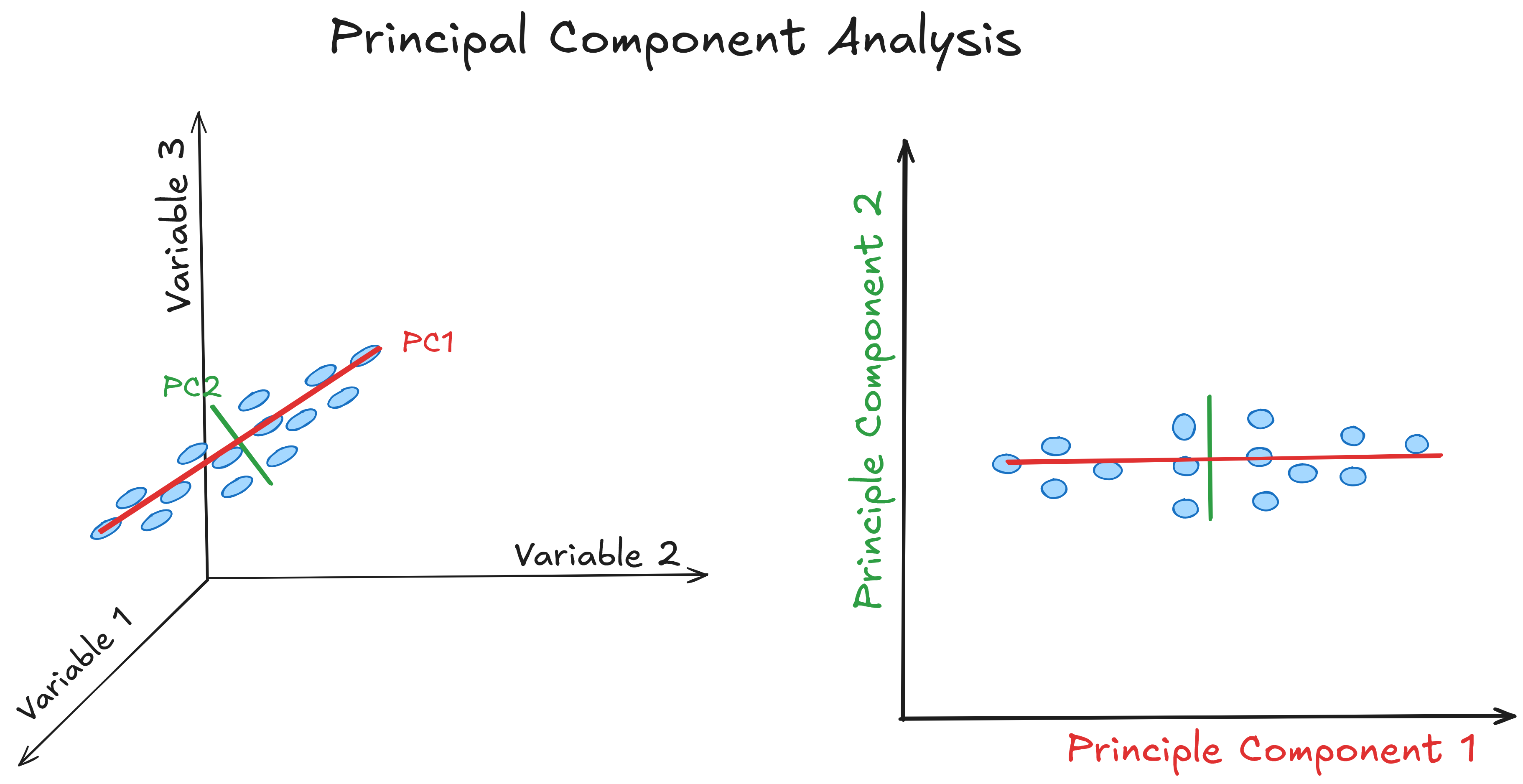 Illustration of Principal Component Analysis (PCA) showing an original 3D data plot reduced to 2D. The first principal component (PC1) is red, and the second (PC2) is green, with data points represented as blue ovals.