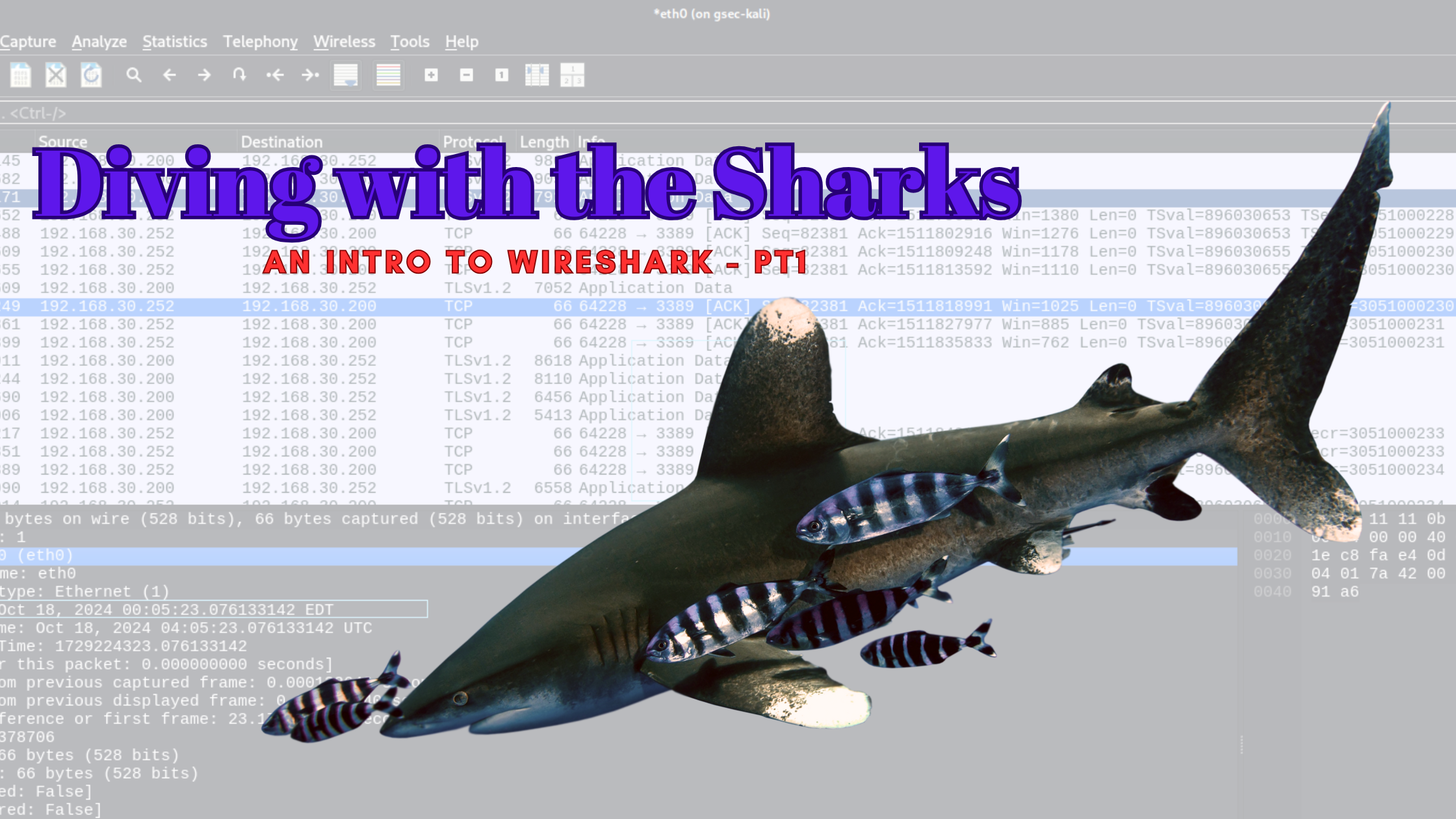 Intro to WireShark - Diving with the Sharks