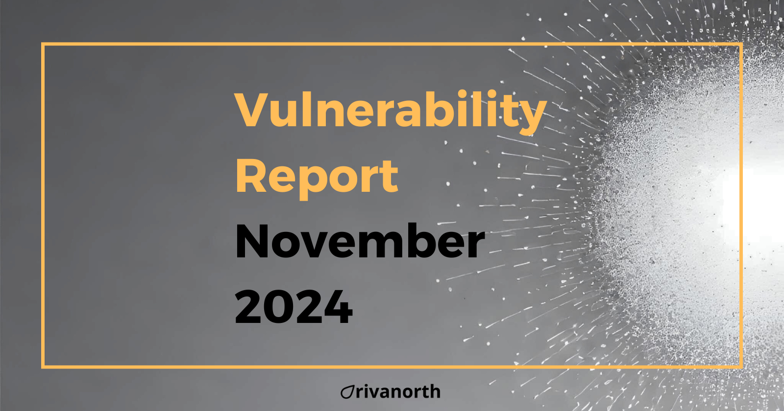 Vulnerability Report: November 2024