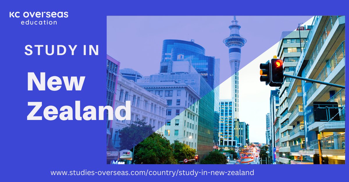 Study in New Zealand’s University of Canterbury: Health Sciences Professional Practice Courses