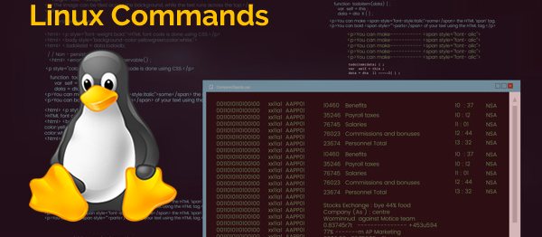 Introduction to Linux Command Line: 20 Commands Every Beginner Should Know