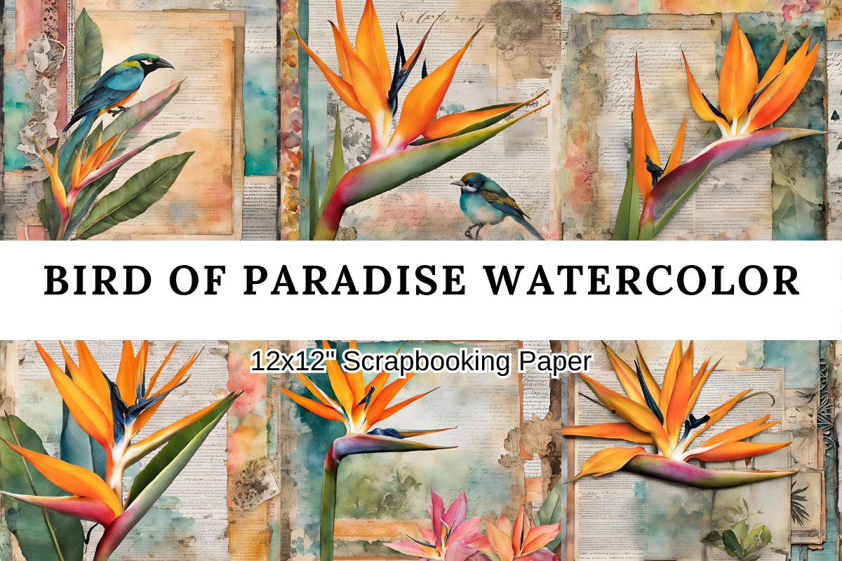 Bird of Paradise Soft and Dreamy Free